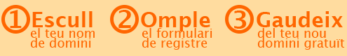 El teu domini en tres passos!
